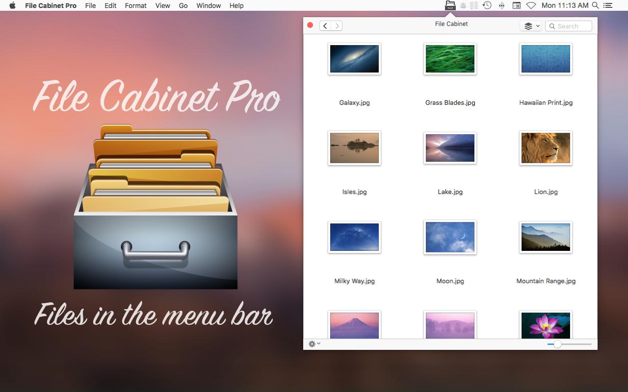File Cabinet Pro 6.5 download free